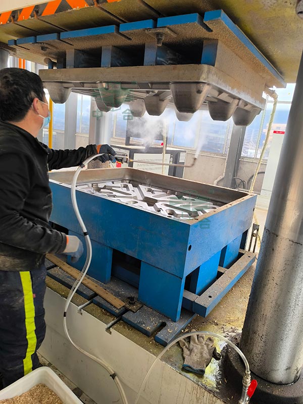 木屑托盤模具.jpg 木屑托盤模具.jpg